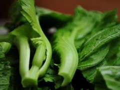 冷水滩：“订单芥菜”种植忙，“冬闲田